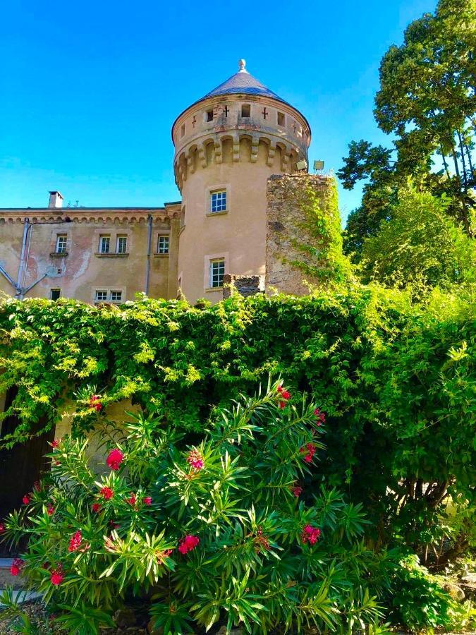 Hôtel Château Du Rey Saint-André-de-Majencoules Extérieur photo