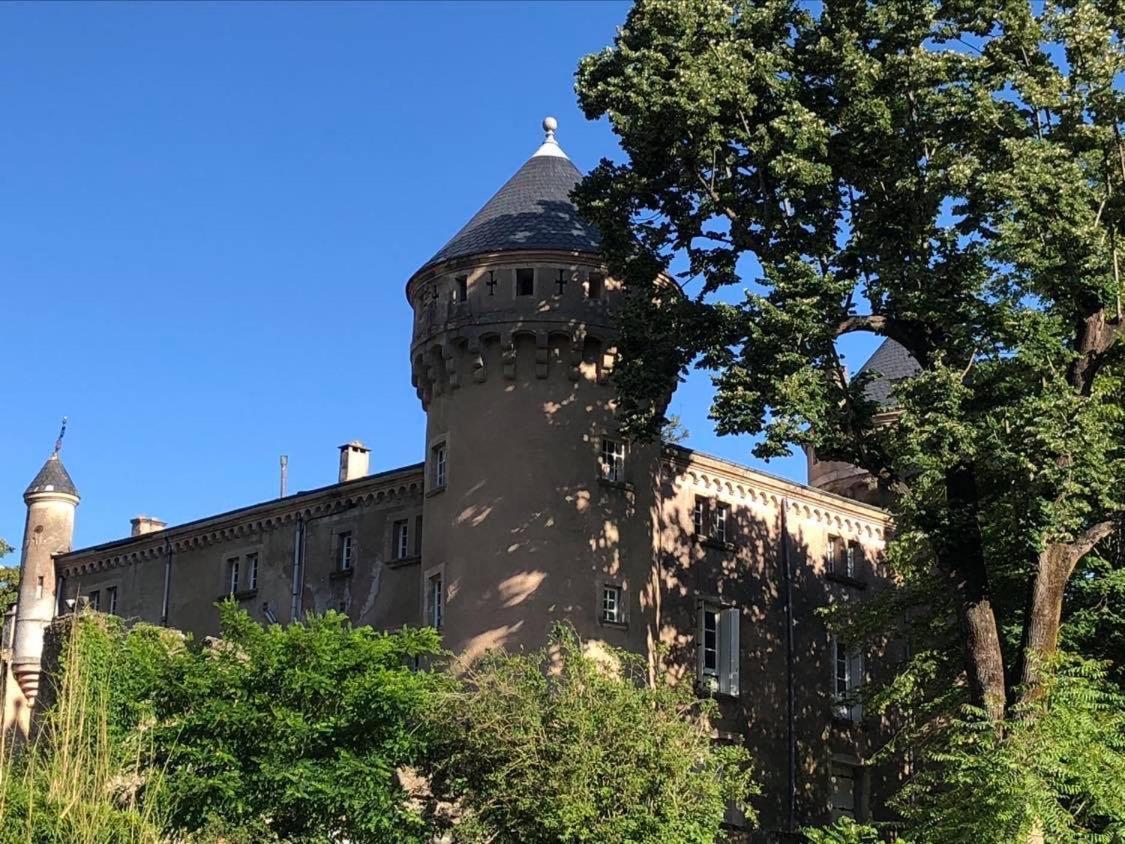 Hôtel Château Du Rey Saint-André-de-Majencoules Extérieur photo