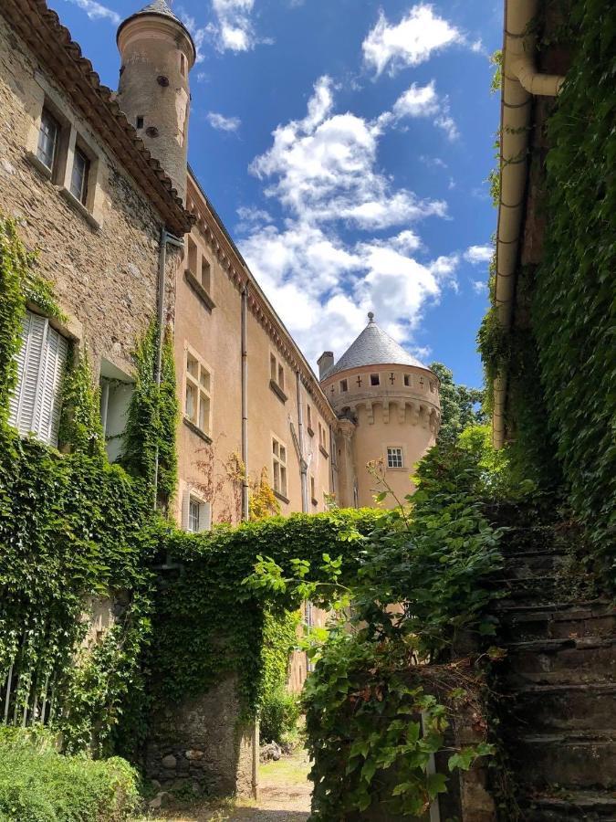 Hôtel Château Du Rey Saint-André-de-Majencoules Extérieur photo
